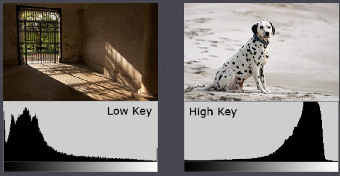 image-20190928144352467